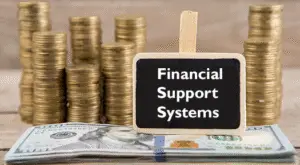 Financial-Support-Systems